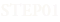 STEP01