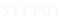 STEP03
